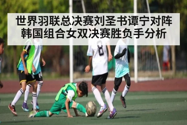 世界羽联总决赛刘圣书谭宁对阵韩国组合女双决赛胜负手分析